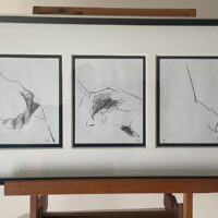 Roser Bru «Dibujo Tríptico».